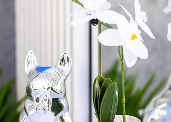 Rt Luxury Royal 公寓 *